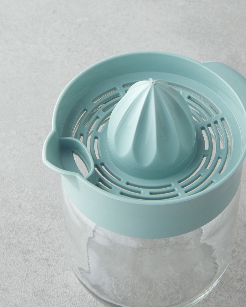 Zoe Lemon Squeezer Basic Alt Segment