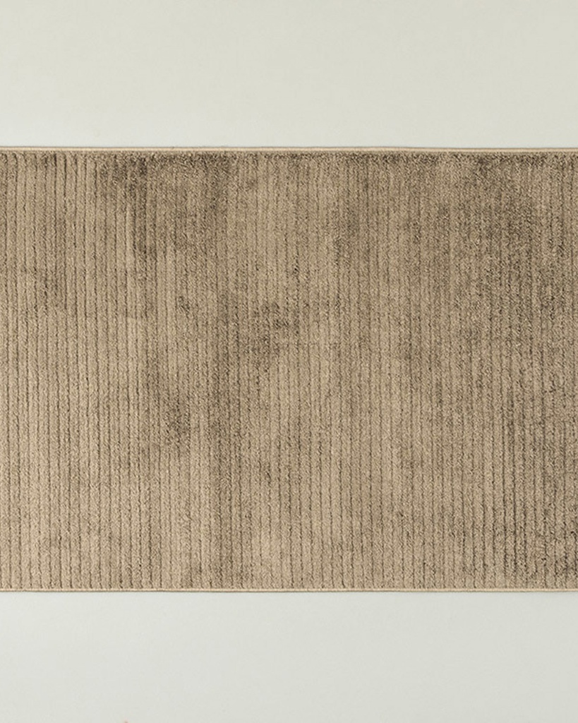 Shaggy Plush Carpet Timeless