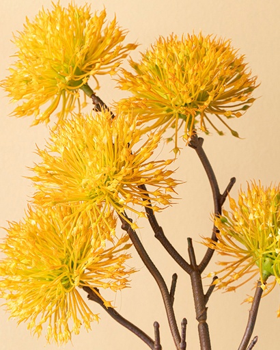Thorn Onion Single Branch Artifi Timeless