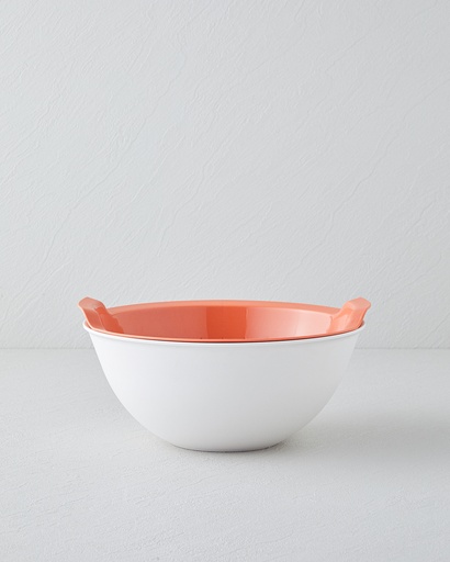 [10047787001] Adra Strainer Basic Alt Segment